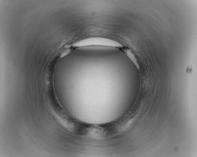 X0000091580215200709101026