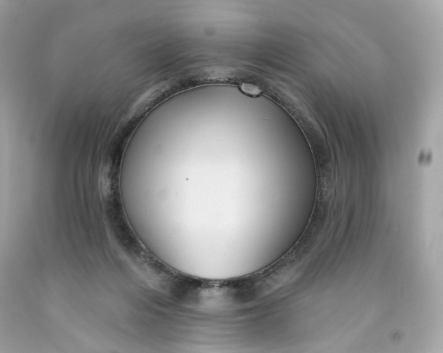 X0000091580216200709101026