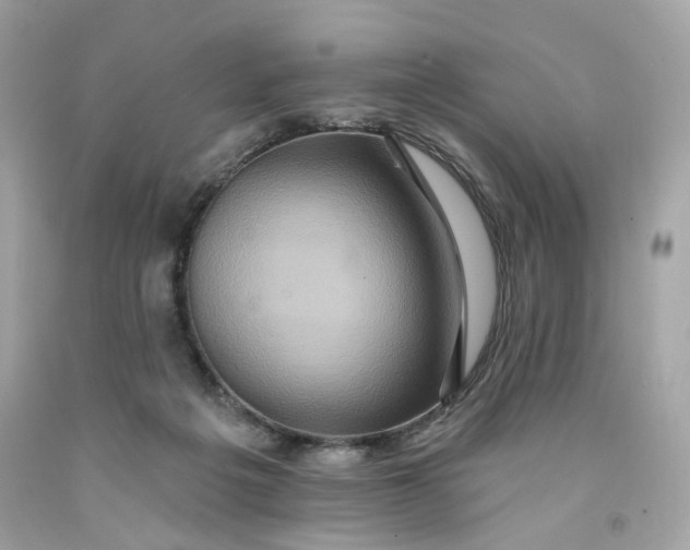 X0000091580217200709101026