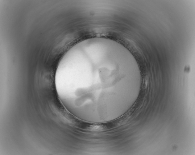 X0000091580218200709101026