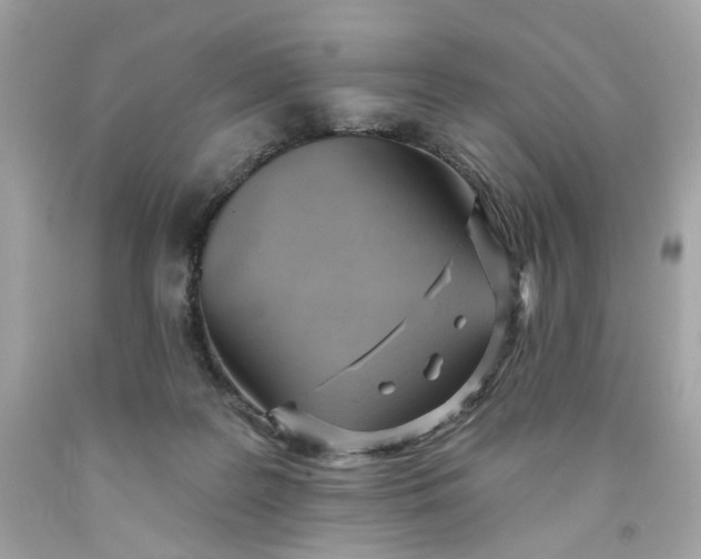 X0000091580219200709101026