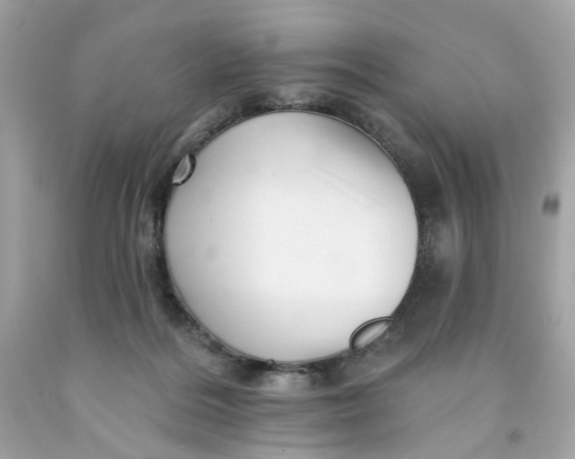 X0000091580220200709101026