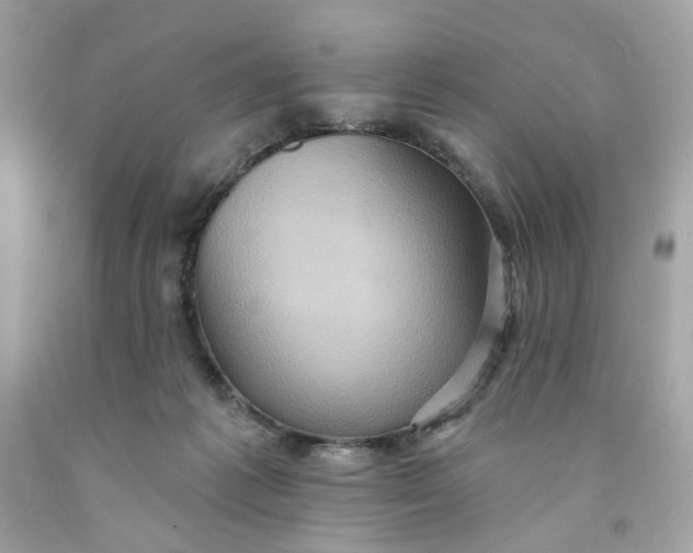 X0000091580221200709101026