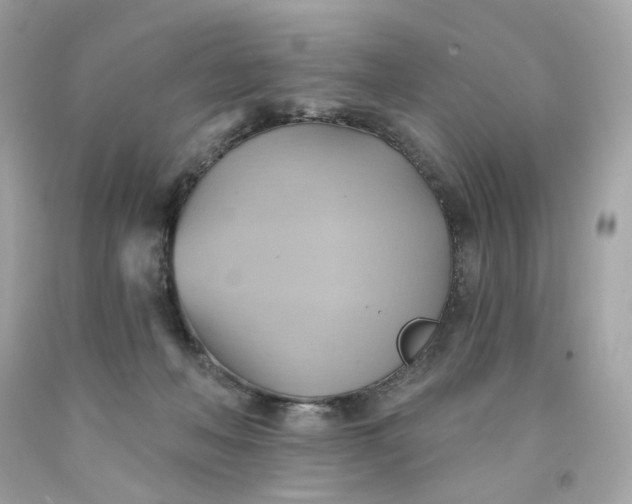 X0000091580222200709101026