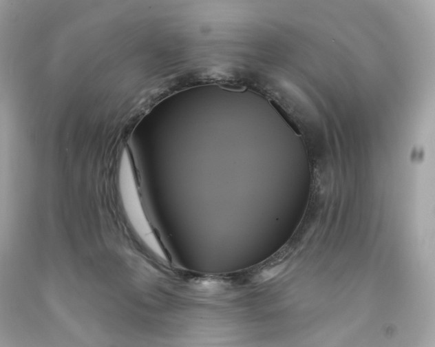 X0000091580223200709101026