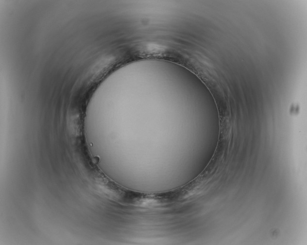 X0000091580224200709101026