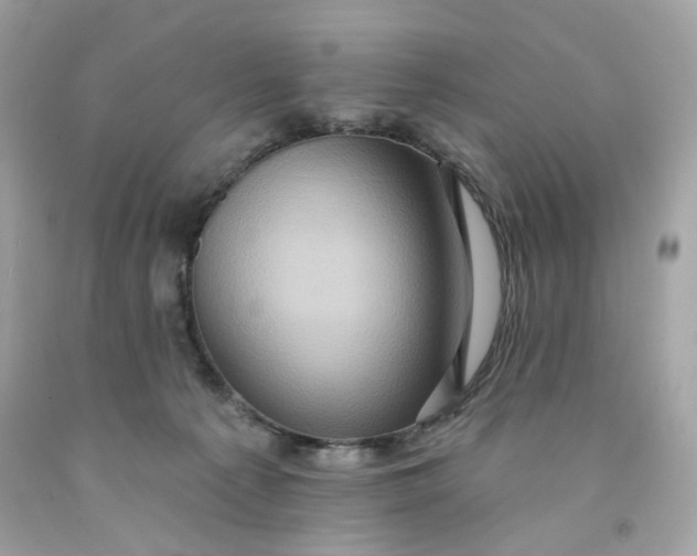 X0000091580225200709101026