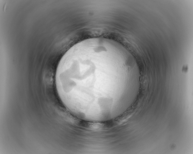 X0000091580226200709101026