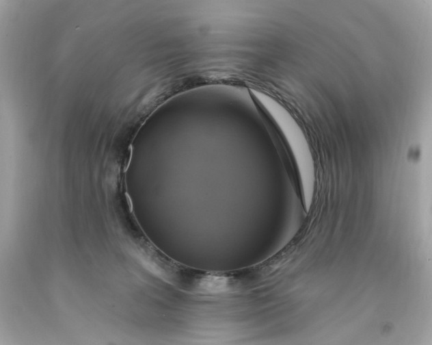 X0000091580227200709101026