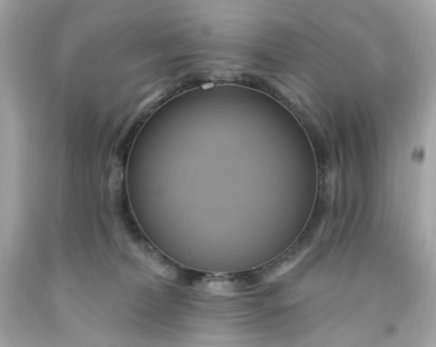 X0000091580228200709101026