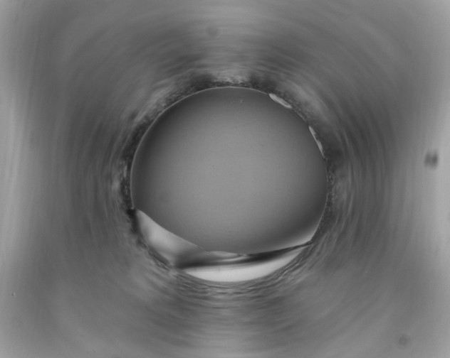 X0000091580229200709101026