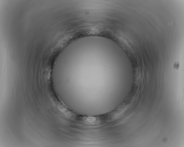 X0000091580230200709101026