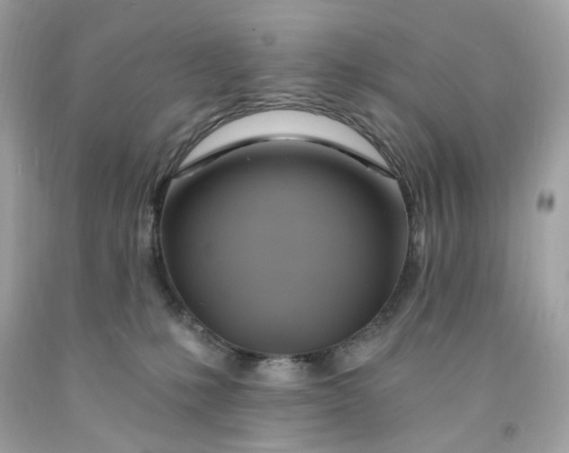 X0000091580231200709101026