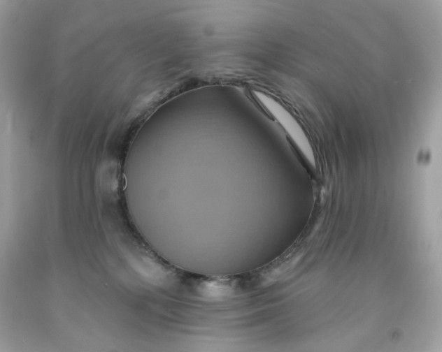 X0000091580232200709101026