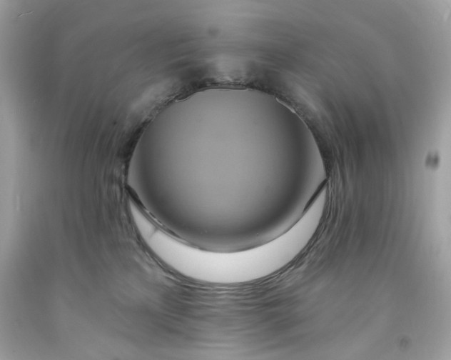 X0000091580233200709101026