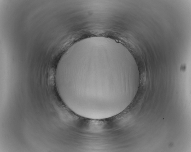 X0000091580234200709101026