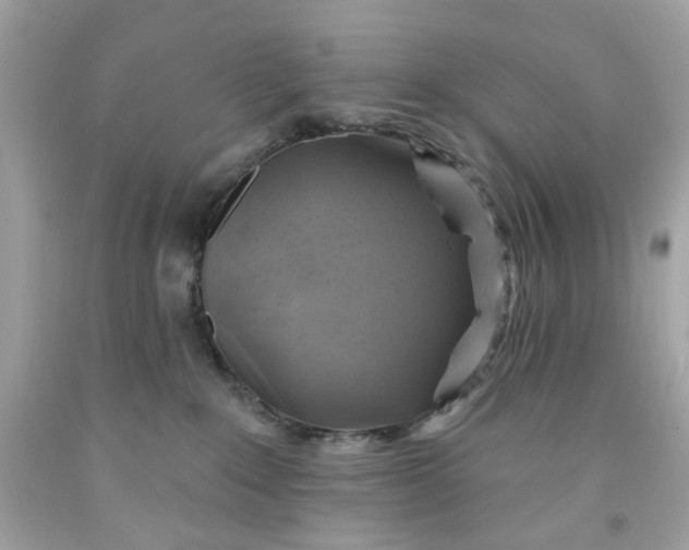 X0000091580235200709101026