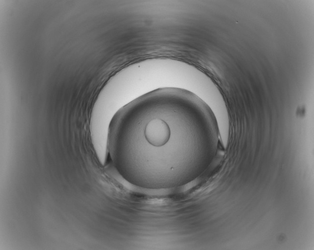 X0000091580237200709101026