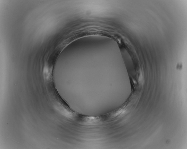 X0000091580239200709101026