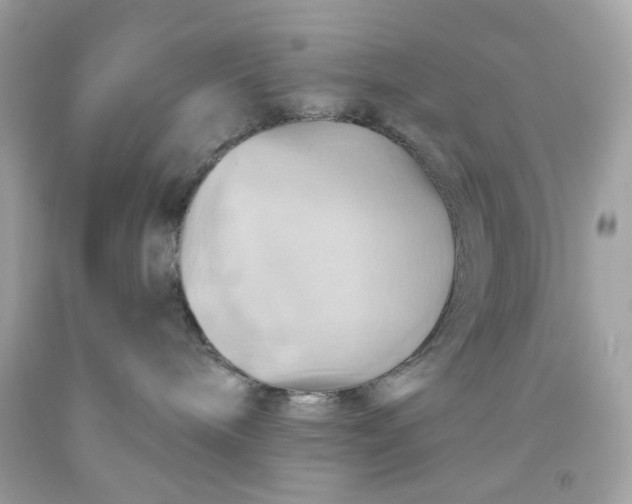 X0000091580240200709101026