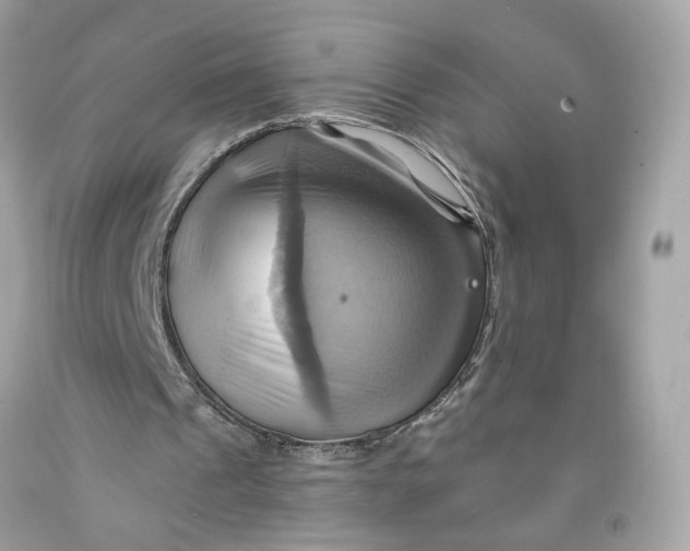 X0000091580241200709101025