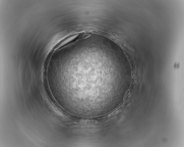 X0000091580242200709101025