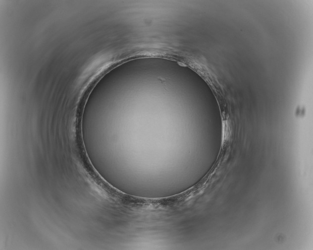 X0000091580243200709101025