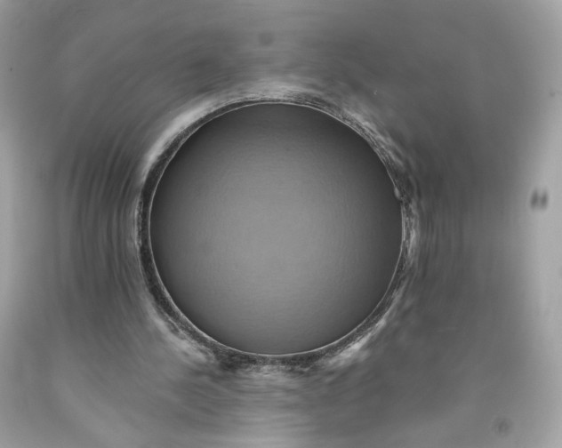 X0000091580244200709101025