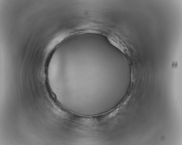 X0000091580245200709101025