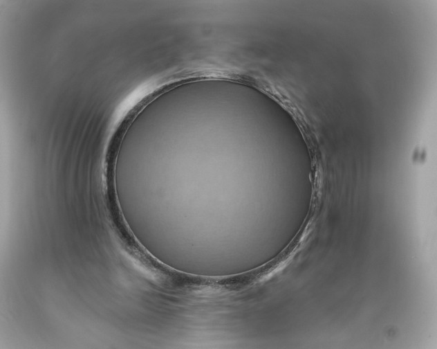 X0000091580246200709101025