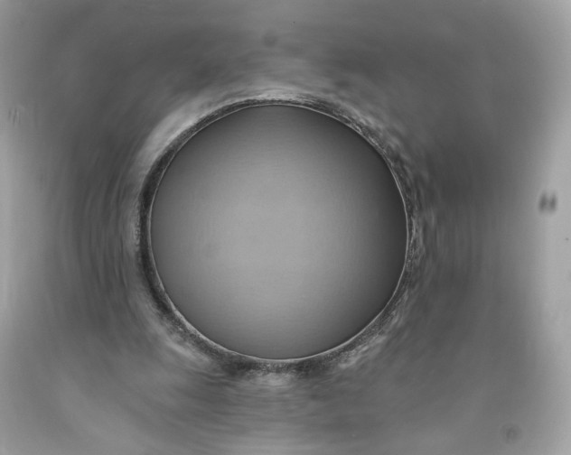 X0000091580247200709101025