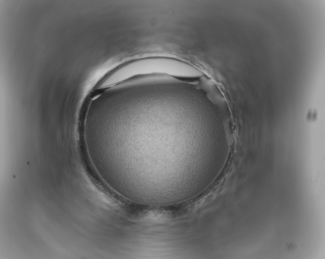 X0000091580248200709101025