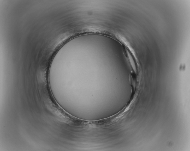 X0000091580249200709101025