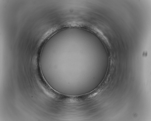 X0000091580250200709101025