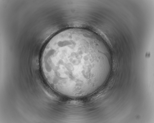 X0000091580251200709101025