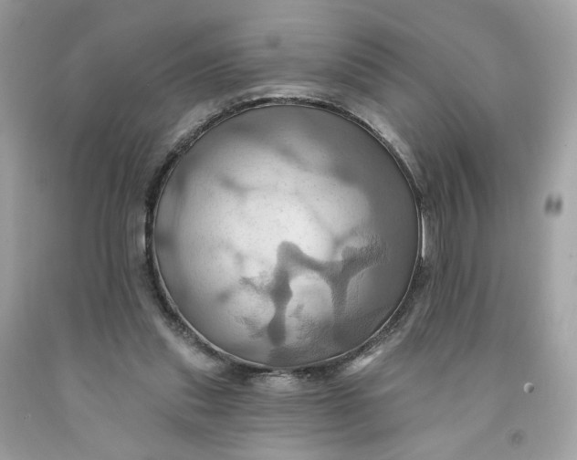 X0000091580253200709101025