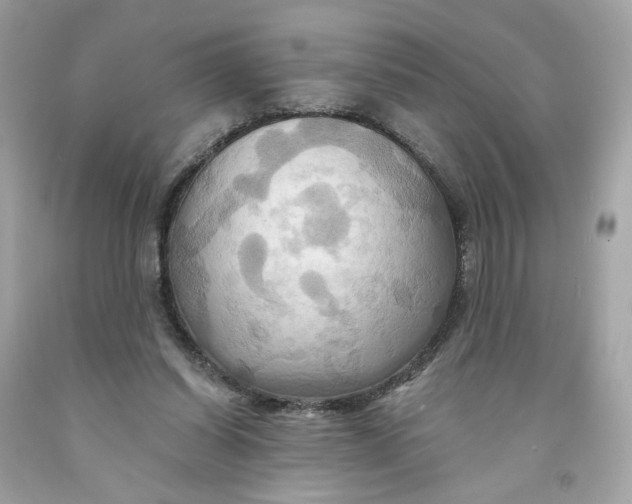 X0000091580254200709101025