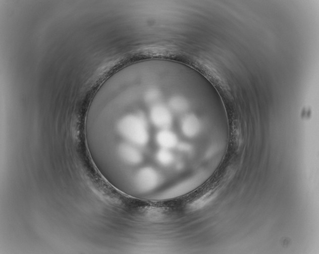 X0000091580255200709101025