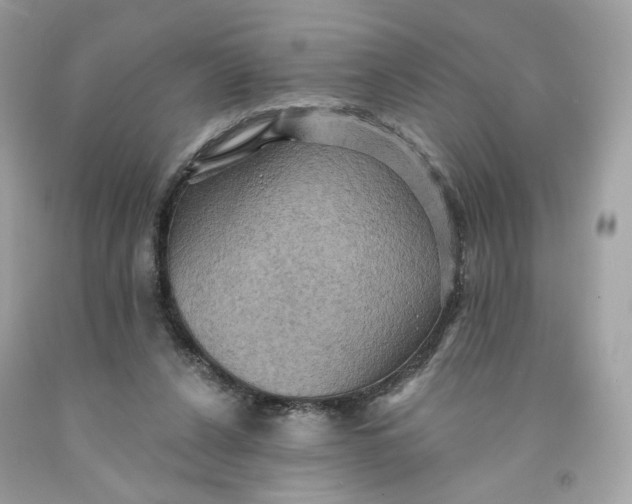 X0000091580256200709101025