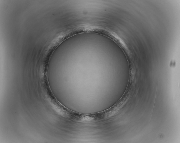 X0000091580257200709101025