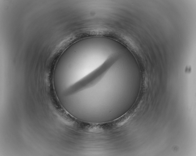 X0000091580258200709101025