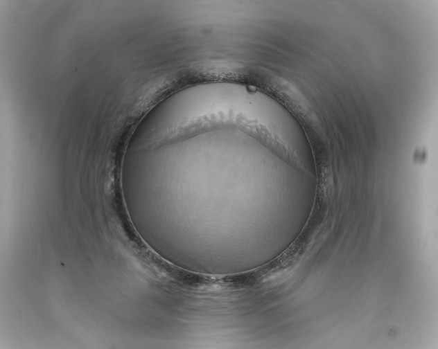 X0000091580259200709101025