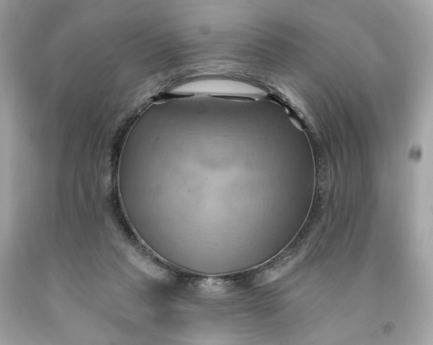 X0000091580261200709101025