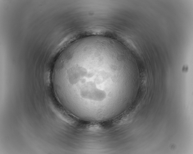 X0000091580262200709101025