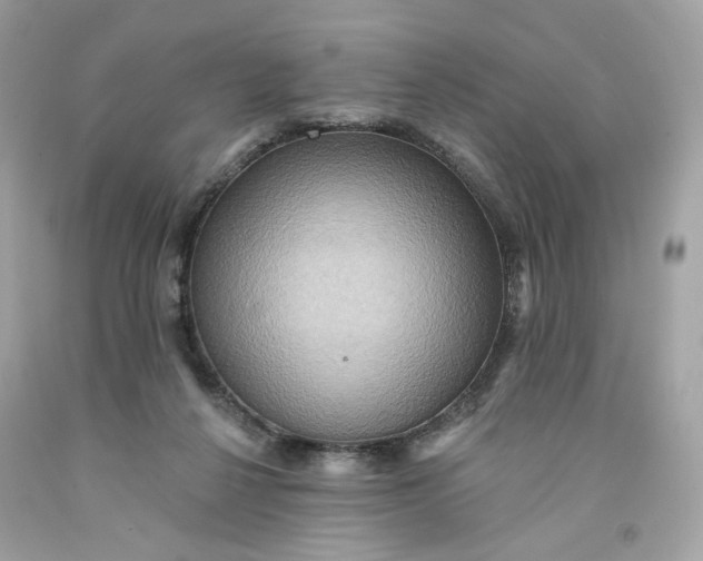 X0000091580264200709101025