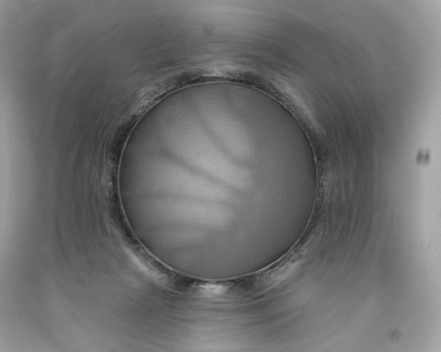 X0000091580265200709101025