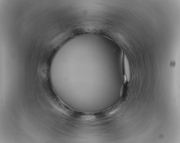 X0000091580266200709101025