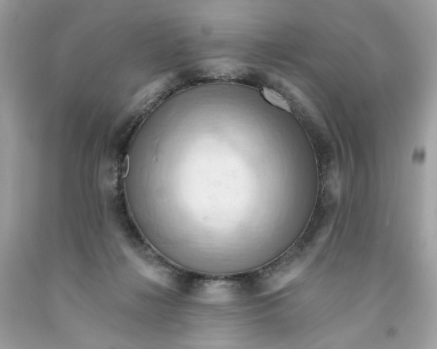 X0000091580268200709101025