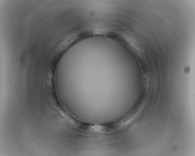 X0000091580269200709101025