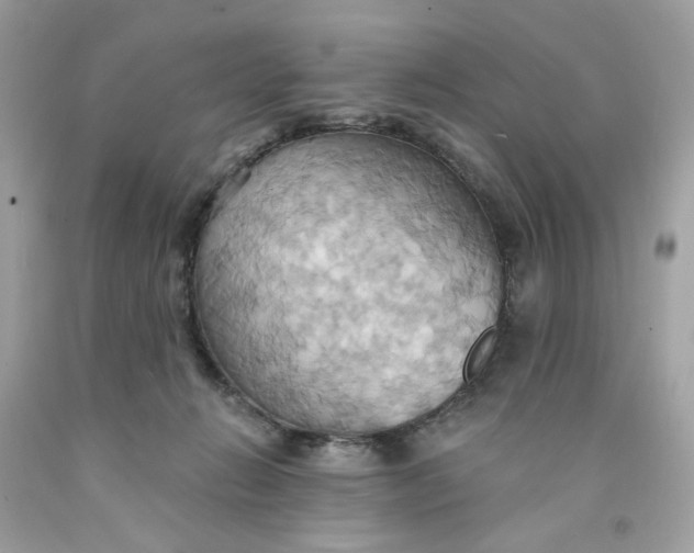 X0000091580270200709101025